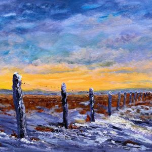 Early Snow On The Plains