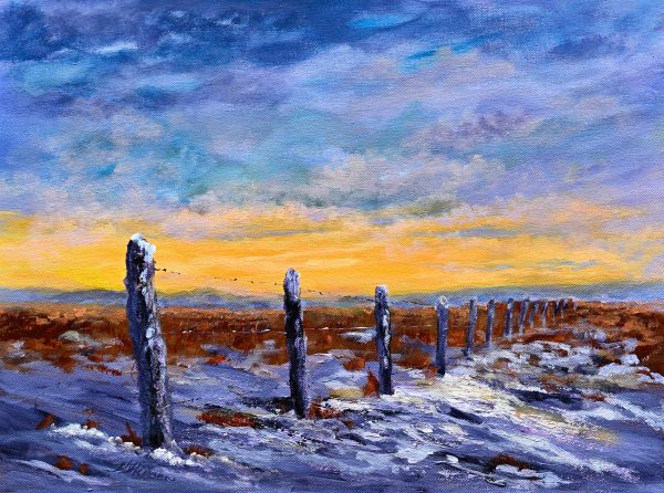 Early Snow On The Plains